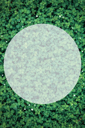 Abstract nature background with green plant leaves and creative round frame for design