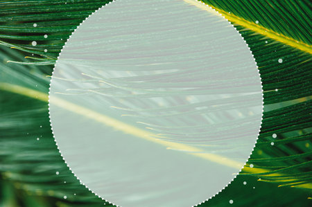 Abstract nature background with green palm leaf and creative round frame for designの写真素材