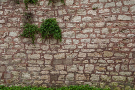 Ancient background with old brick brown wall and green plants