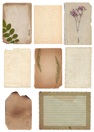 Set of Old various vintage rough paper with scratches, stains and dry plants texture isolated on whiteの写真素材