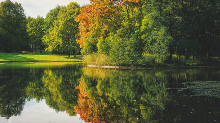 Beautiful colorful forest autumn landscape. Amazing park with lakeの写真素材