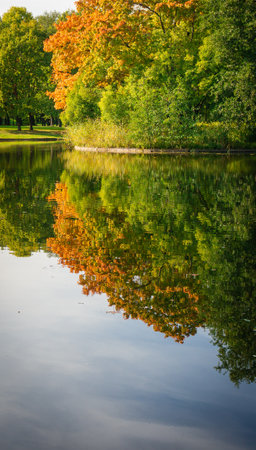 Beautiful colorful forest autumn landscape. Amazing park with lakeの写真素材