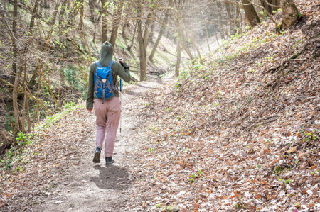 Young woman tourist with backpack and walking stick hiking the forest path in the sunny day