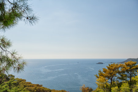 Beautiful atmospheric landscape with blue sea, forest hills, sunny sky and tree branchの写真素材