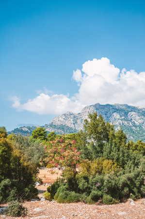 Nature summer background with cloudy blue sky, mountain hill and trees
