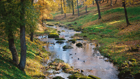 Beautiful sunny colorful forest autumn landscape. Amazing park with steamの写真素材