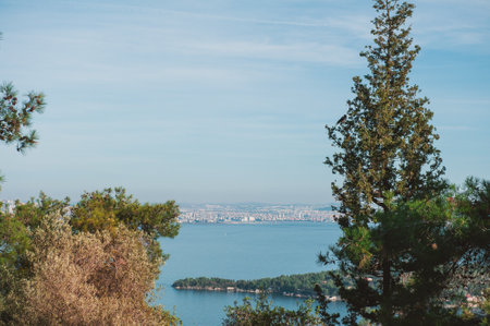 View of Istanbul skyline from Buyukada Island, with the sea and greenery in the foreground, under a clear blue skyの写真素材