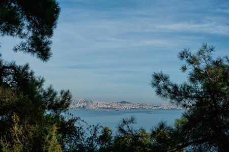 View of Istanbul skyline from Buyukada Island, with the sea and greenery in the foreground, under a clear blue skyの写真素材