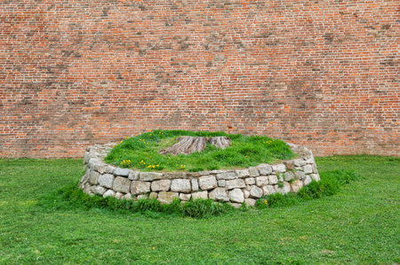 Old brick wall with a stone-edged grassy patch featuring a tree stump in the foreground.の写真素材