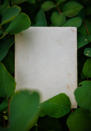 Vintage empty paper lies on green leaves of a plant, creating a rustic and natural background. The weathered sheet blends with botanical foliage, offering an eco-friendly textureの写真素材