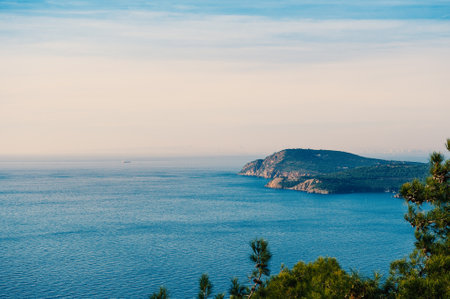 Scenic view of the sea and distant islands from Buyukada, Istanbul, framed by pine treesの写真素材
