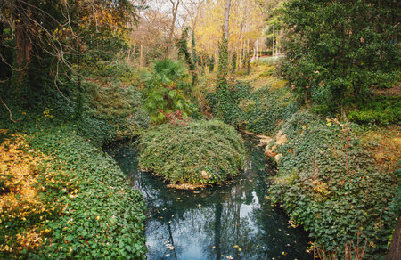 Tranquil public park with lush greenery and a serene lake, perfect for relaxation and outdoor leisureの写真素材