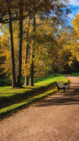Serene park path lined with benches amidst golden autumn foliage and tranquil sunlightの写真素材