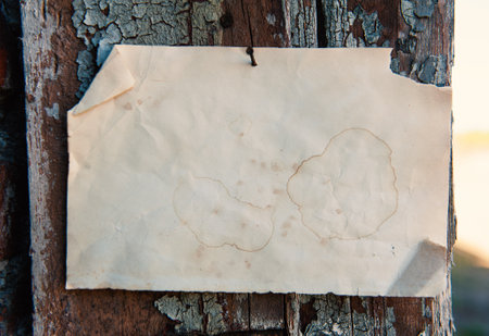 Old vintage paper advertisement hanging on aged wall nailed by rusty doornail