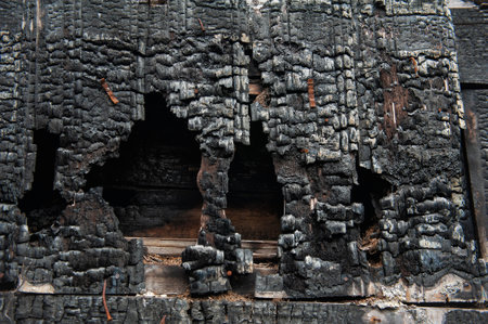 Burnt wood texture provides a dramatic contrast and serves as a rustic background or environmental detailの写真素材