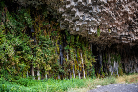 The Symphony of Stones in Garni, Armenia, hexagonal rock formations showcase the rugged beauty of nature. There are green plants and grassの写真素材