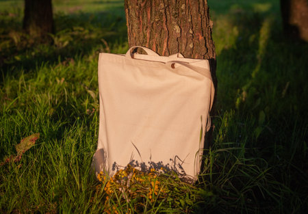 White canvas tote bag mockup template with long handles and wild flowers near tree outdoor in sunlight. Surface to place your designの写真素材