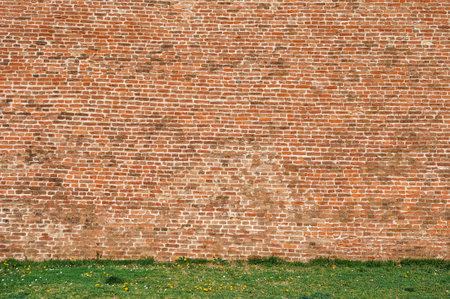 Old ancient brick stone wall texture background with green grass outdoor