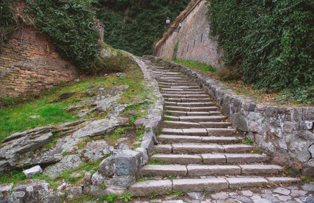 Historic ancient stone staircase winds up along an ivy-covered brick wall