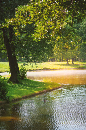 Tranquil lake surrounded by lush green trees and vibrant grass under summer sunlight.の写真素材