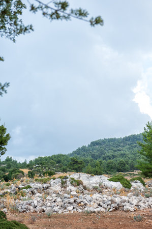 Rural landscape with bunch of stones, dry grass, forest and cloudy skyの写真素材