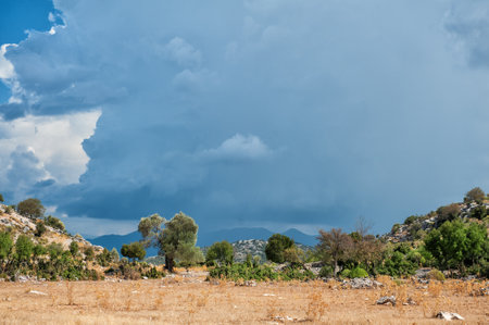 Nature summer background with cloudy blue sky, mountain hill and treesの写真素材