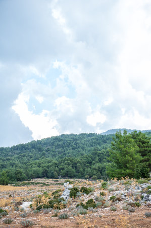 Rural landscape with bunch of stones, dry grass, forest and cloudy skyの写真素材