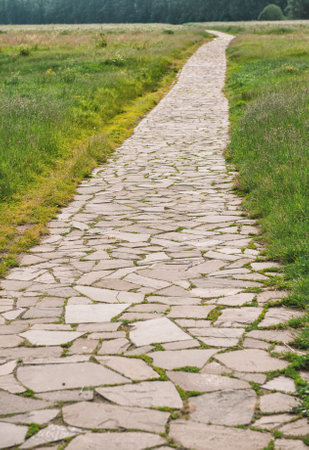 Stone path curves through a tranquil green meadow in summer light. Cracked pattern adds natural texture to the quiet rural landscapeの写真素材