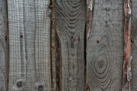 Rustic wooden texture with natural grain and aged weathering details.の写真素材