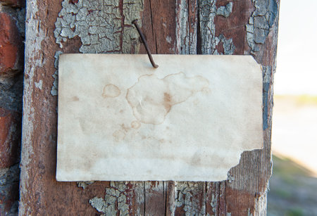 Old vintage paper hanging on aged wooden wall nailed by rusty doornailの写真素材