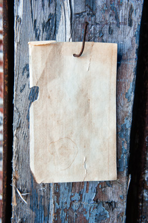 Old vintage paper hanging on aged wooden wall nailed by rusty doornailの写真素材
