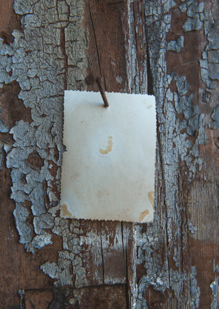 Old vintage green paper hanging on aged wall nailed by rusty doornailの写真素材