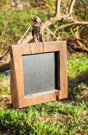 Rustic wooden empty chalkboard hangs on tree with sunlight offers empty copyspaceの写真素材