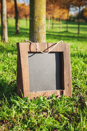 Rustic wooden empty chalkboard leans on tree in green grass with sunlight offers empty copyspaceの写真素材