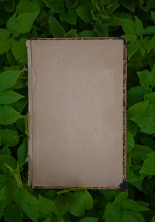 Vintage empty paper lies on green leaves of a plant, creating a rustic and natural background. The weathered sheet blends with botanical foliage, offering an eco-friendly textureの写真素材