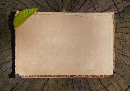 Vintage empty paper with green leaf lies on the old wooden texture backgroundの写真素材