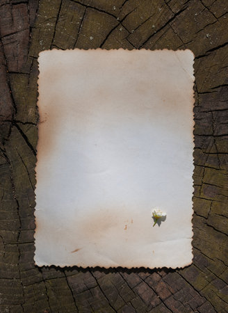 Vintage empty paper with small flower lies on the old wooden texture backgroundの写真素材