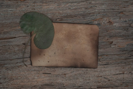 Vintage old paper with leaf of dry plant on the weathered wooden texture background