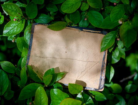 Vintage empty paper lies on green leaves of a plant, creating a rustic and natural background. The weathered sheet blends with botanical foliage, offering an eco-friendly textureの写真素材