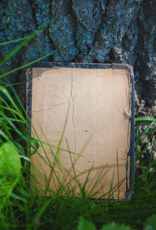Vintage empty paper stands on green leaves of a plant near tree, creating a rustic and natural background. The weathered sheet blends with botanical foliage, offering an eco-friendly textureの写真素材