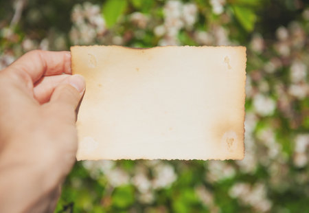 Hand of woman holds the vintage empty paper on green leaves natural backgroundの写真素材