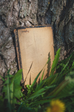 Vintage empty paper stands on green leaves of a plant near tree, creating a rustic and natural background. The weathered sheet blends with botanical foliage, offering an eco-friendly textureの写真素材