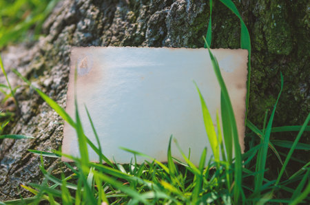 Vintage empty paper stands on green leaves of a plant near tree, creating a rustic and natural background. The weathered sheet blends with botanical foliage, offering an eco-friendly textureの写真素材