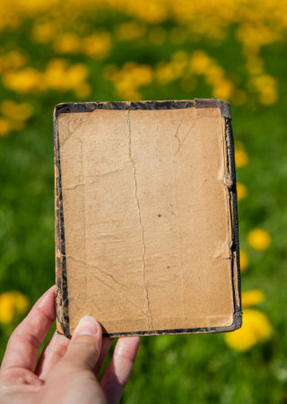 Hand of woman holds the vintage empty paper on green leaves natural backgroundの写真素材