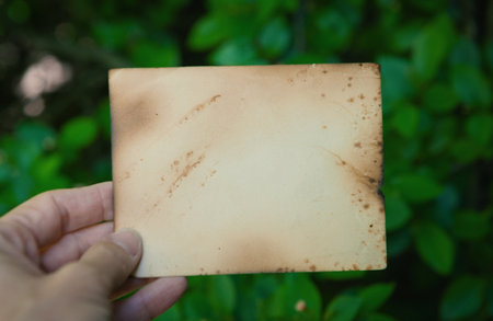 Hand of woman holds the vintage empty paper on green leaves natural backgroundの写真素材