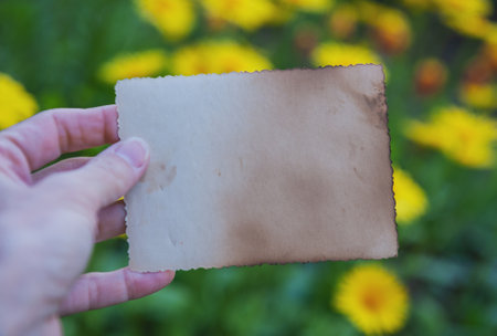Hand of woman holds the vintage empty paper on green leaves natural backgroundの写真素材