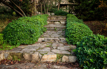 Rustic stone stairs lead through green foliage in a peaceful gardenの写真素材