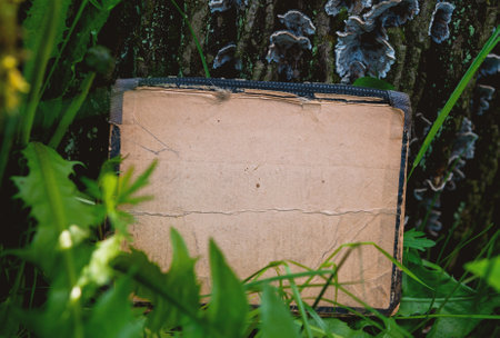 Vintage empty paper stands on green leaves of a plant near tree, creating a rustic and natural...