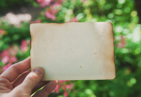 Hand of woman holds the vintage empty paper on green leaves and pink flowers natural background