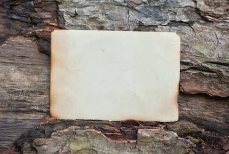Vintage empty paper lies on the old wooden texture backgroundの写真素材
